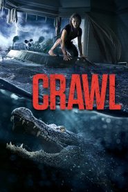 crawl (2019) Hindi Dubbed