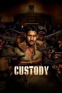 Custody (2023) Hindi Dubbed AMZN