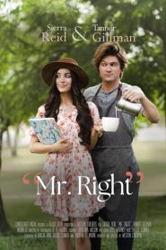 Mr. Right (2023) Unofficial Hindi Dubbed