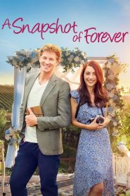 A Snapshot of Forever (2022) Unofficial Hindi Dubbed